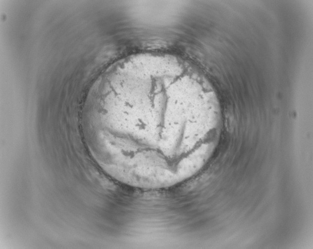 X0000088221393200706051311