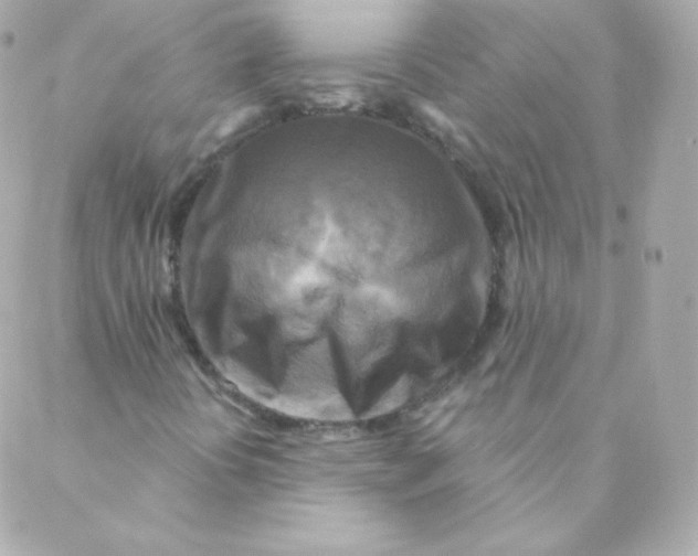 X0000088221394200706051311