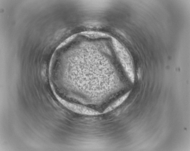 X0000088221396200706051311