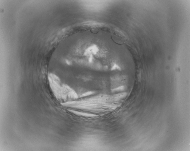 X0000088221397200706051311