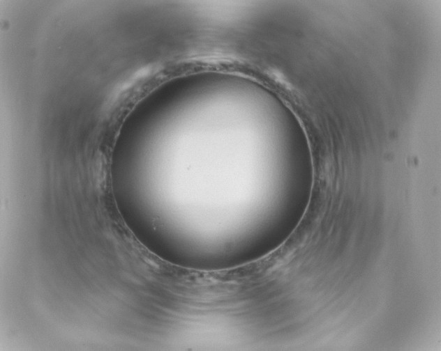 X0000088221398200706051311