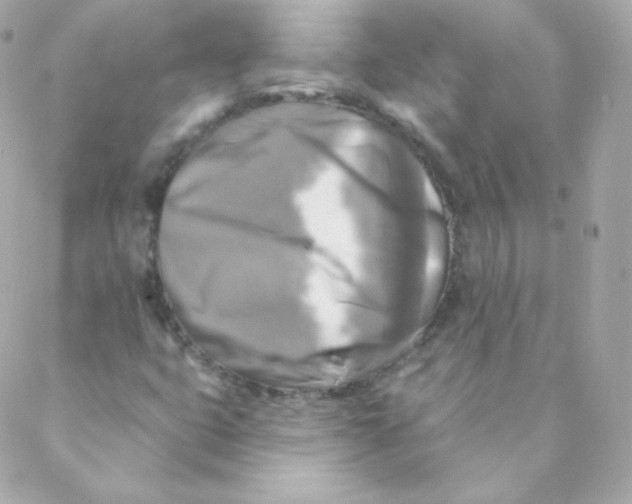 X0000088221399200706051311