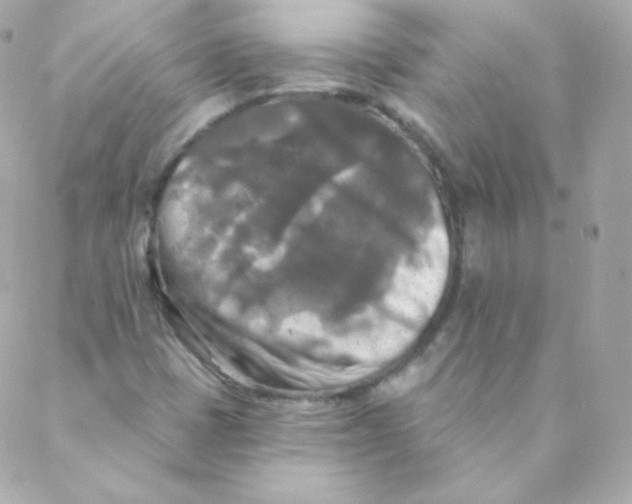 X0000088221401200706051311