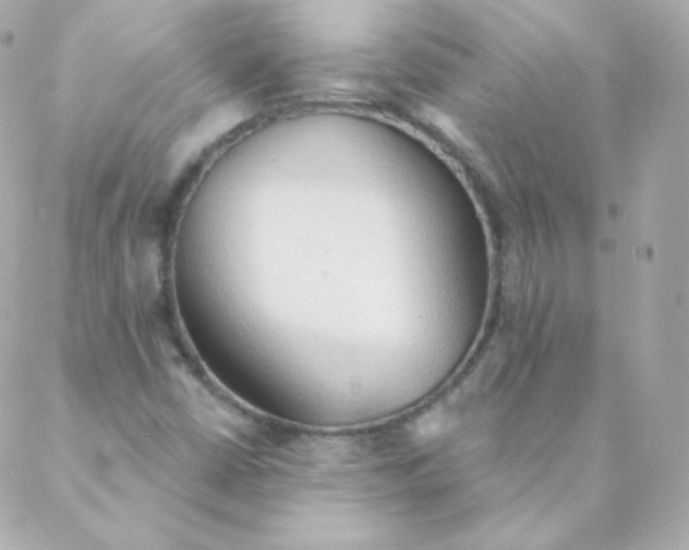 X0000088221402200706051311