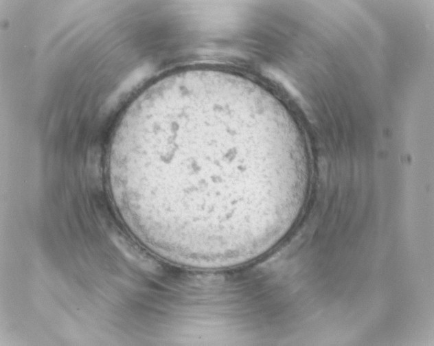 X0000088221403200706051311