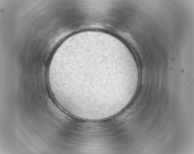 X0000088221404200706051311