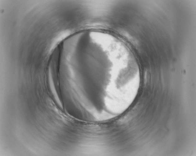 X0000088221405200706051311