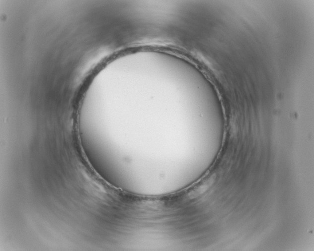 X0000088221406200706051311