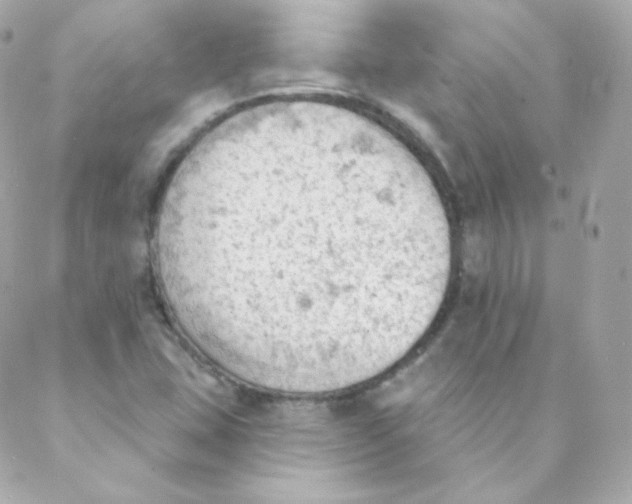 X0000088221407200706051311