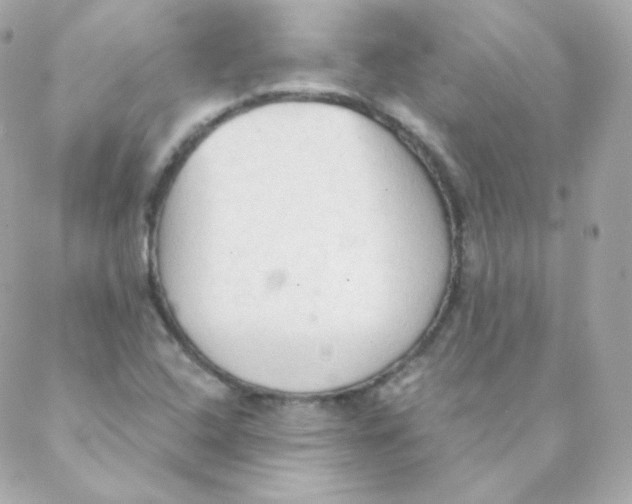 X0000088221408200706051311