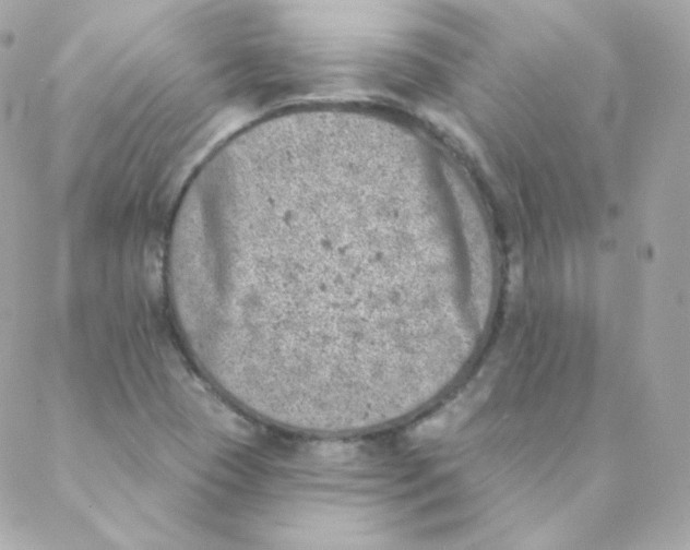 X0000088221409200706051311