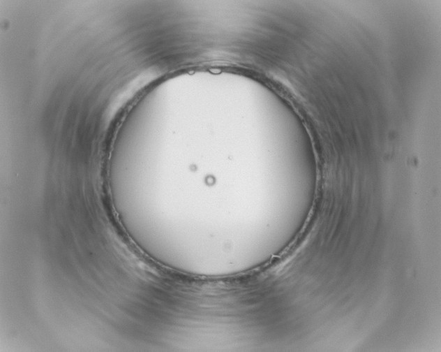 X0000088221410200706051311