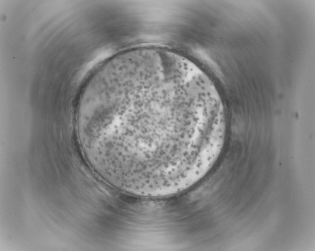 X0000088221411200706051311