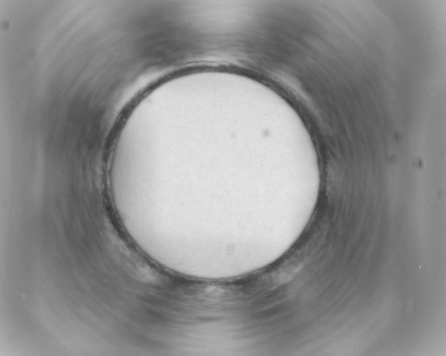 X0000088221412200706051311