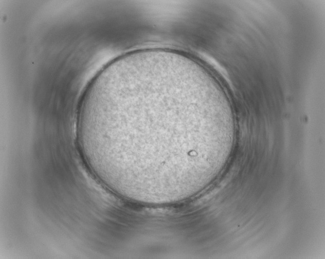 X0000088221415200706051311