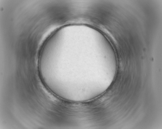 X0000088221416200706051311