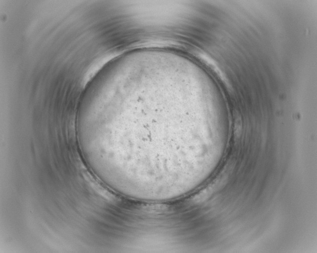 X0000088221417200706051311