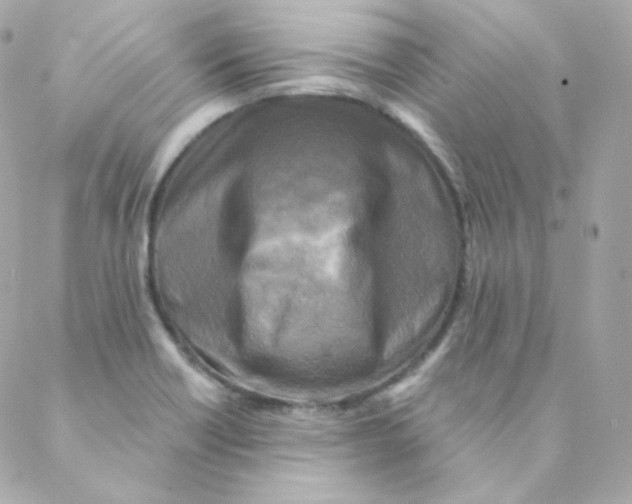 X0000088221418200706051311