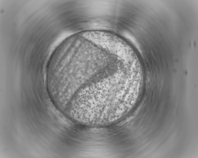 X0000088221419200706051311