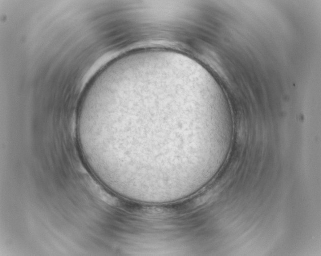 X0000088221420200706051311