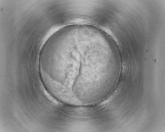 X0000088221421200706051311