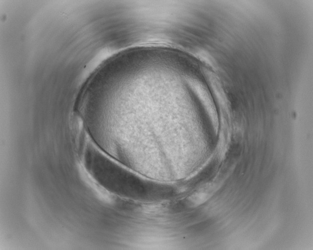 X0000088221422200706051311