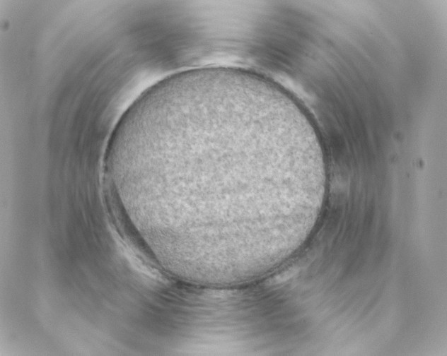 X0000088221423200706051311