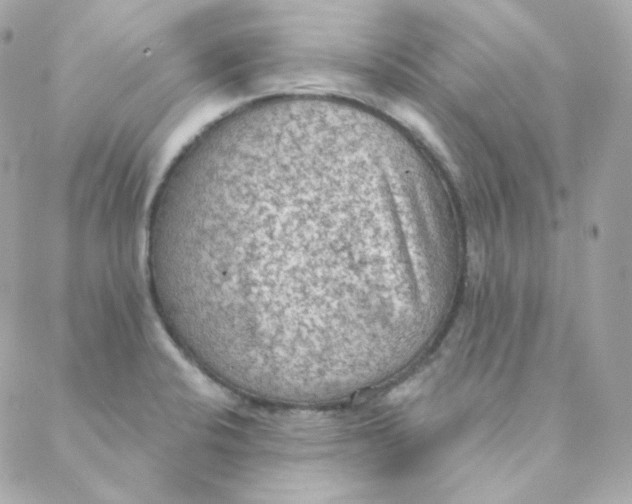 X0000088221424200706051311