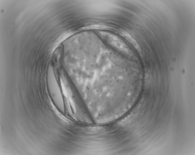 X0000088221425200706051311