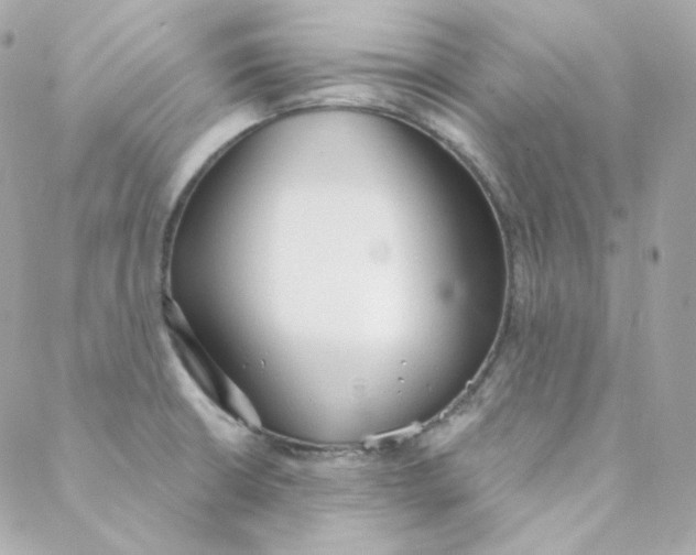 X0000088221426200706051311