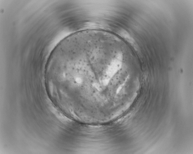 X0000088221427200706051311