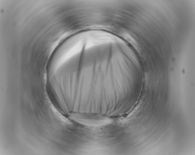 X0000088221428200706051311