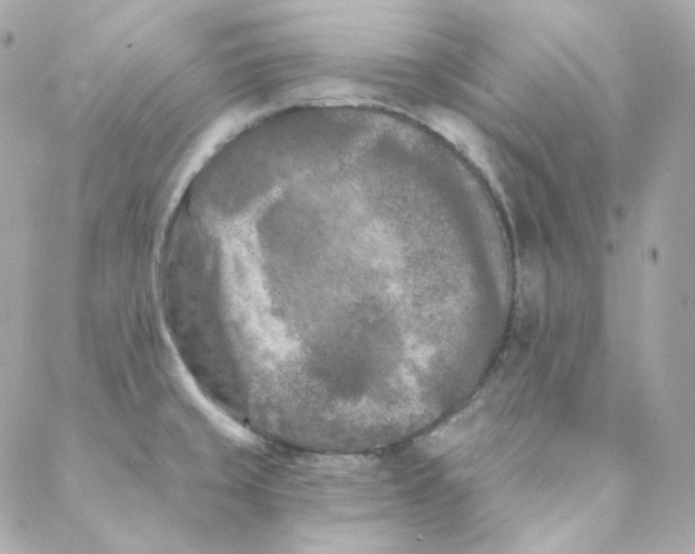 X0000088221429200706051311