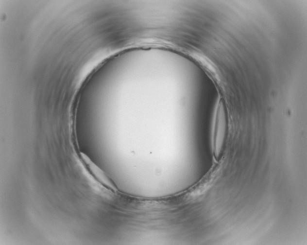 X0000088221430200706051311