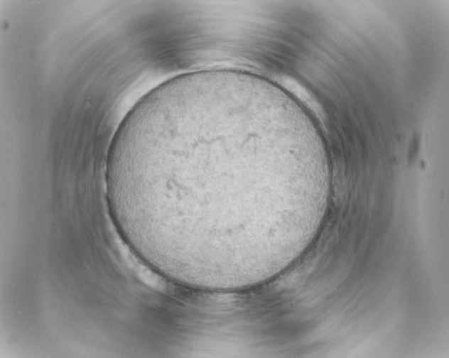 X0000088221431200706051311