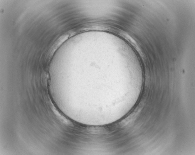 X0000088221433200706051311