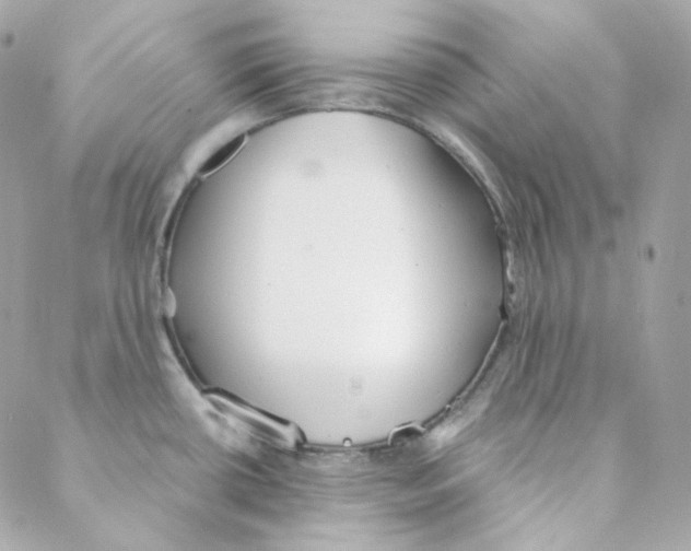 X0000088221434200706051311