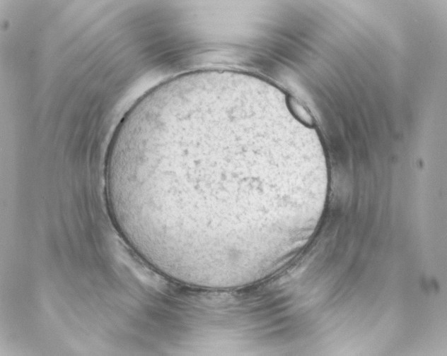 X0000088221435200706051311