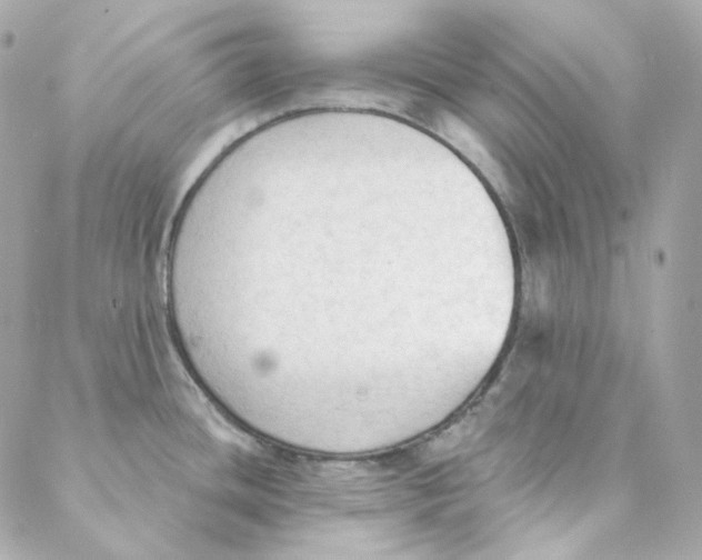 X0000088221436200706051311