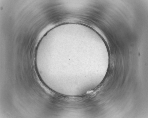 X0000088221437200706051311