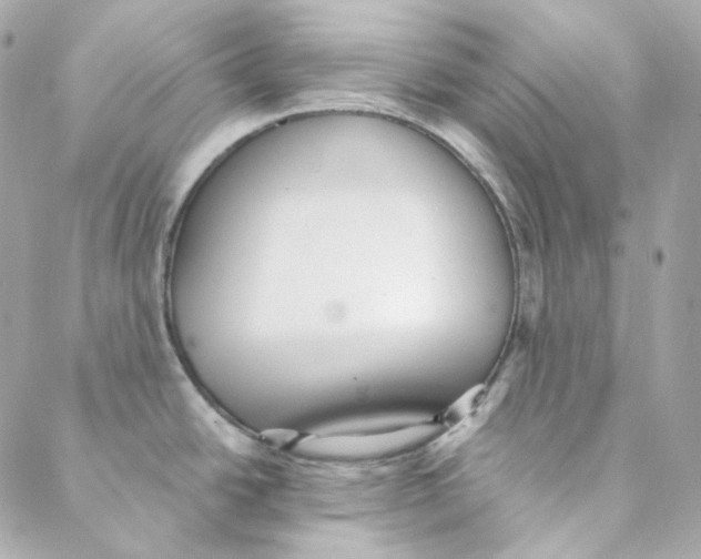 X0000088221438200706051311