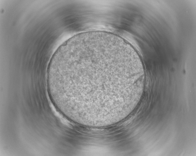 X0000088221439200706051311