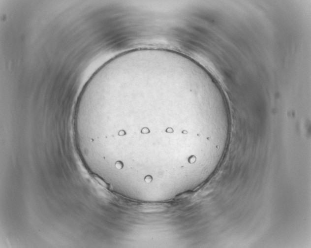 X0000088221440200706051311