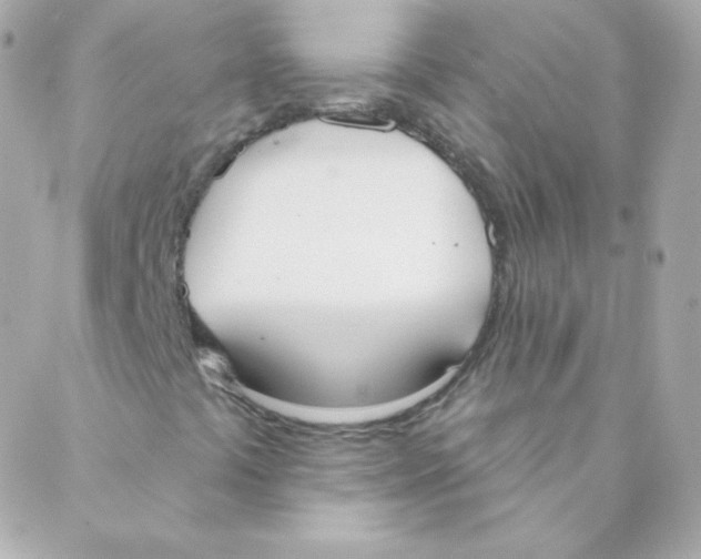 X0000088221441200706051311