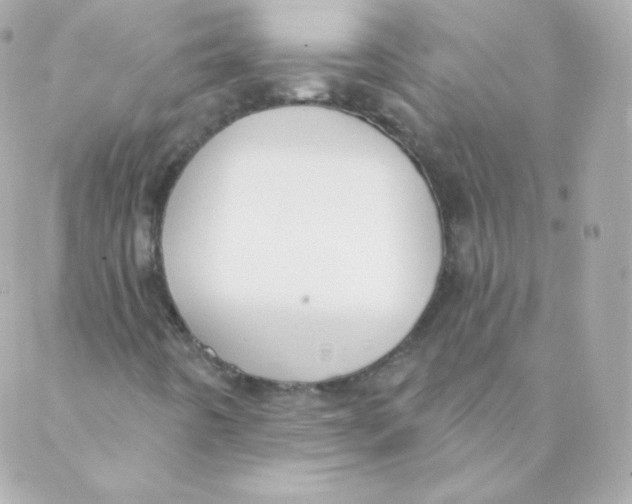 X0000088221442200706051311