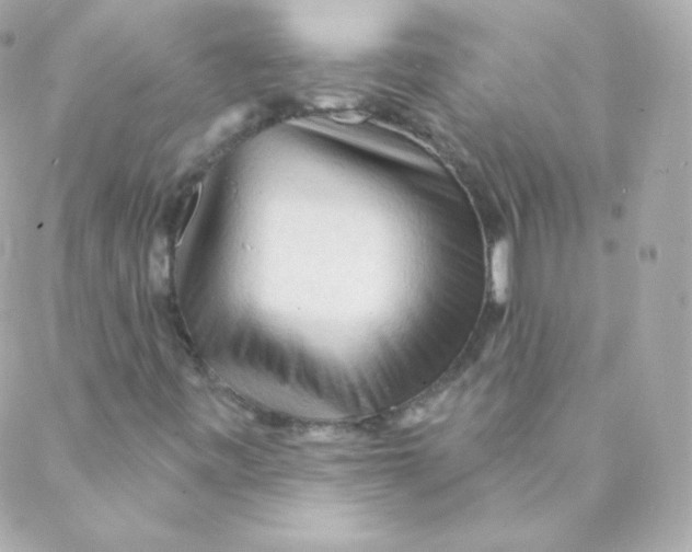 X0000088221443200706051311