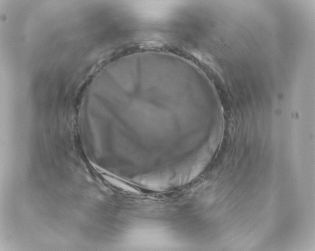 X0000088221445200706051311