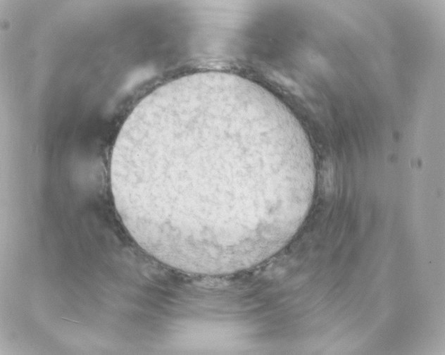 X0000088221446200706051310