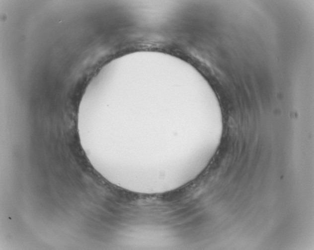 X0000088221447200706051310