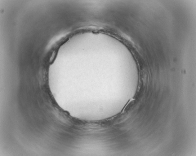 X0000088221448200706051310